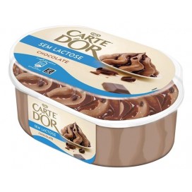 Ice Cream Double Choco.S / Lactose 850Ml CARTE D'OR