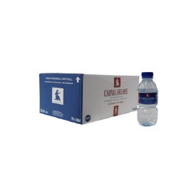 Still Mineral Water - PET Bottle - PET 0,33L NATUR. CX*24