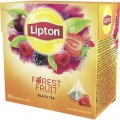 LIPTON TEA FOREST FRUIT BLACK TEA PACK 12X20PYR