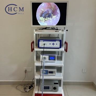 HCM MEDICA HD SD CCD Medical Endoscope Image System Camera